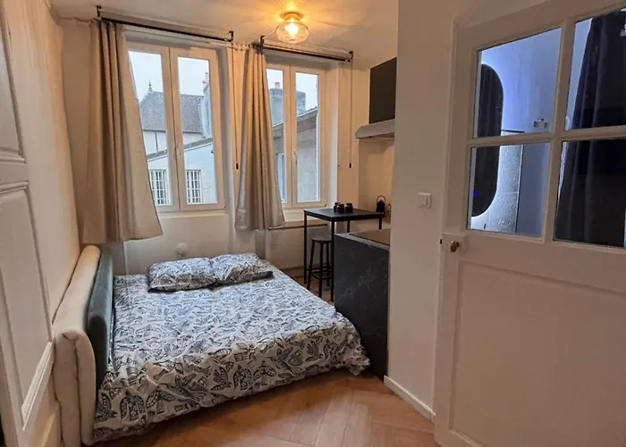 Le Cocon Dijonnais - Cours Cambronne * Dijon