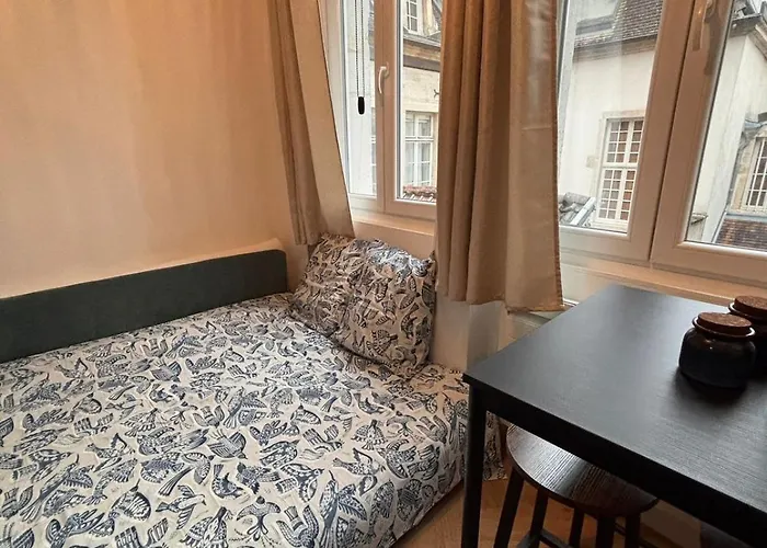 Apartment Le Cocon Dijonnais - Cours Cambronne *