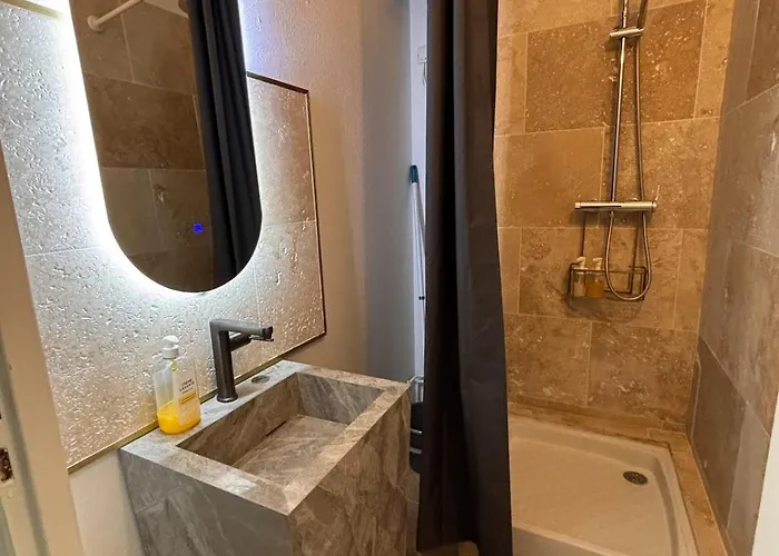 Apartment Le Cocon Dijonnais - Cours Cambronne *