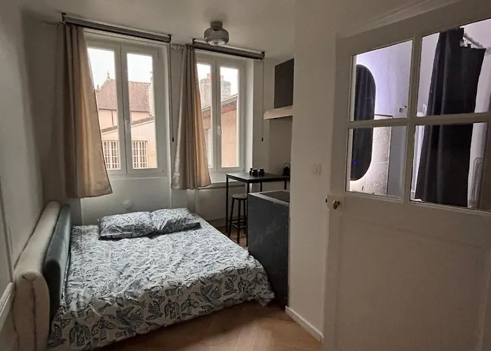 Le Cocon Dijonnais - Cours Cambronne Apartment