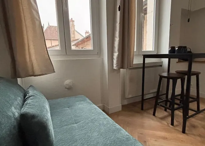 Le Cocon Dijonnais - Cours Cambronne