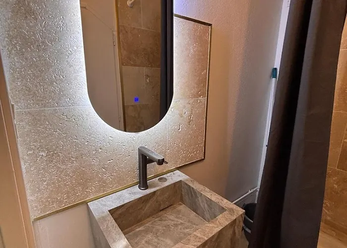 Le Cocon Dijonnais - Cours Cambronne * Dijon