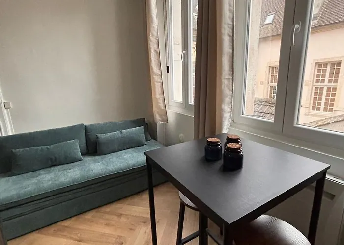 Le Cocon Dijonnais - Cours Cambronne Appartement *